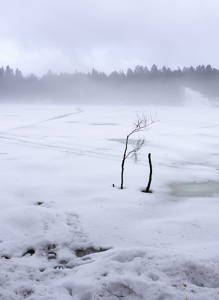 Fieldwork in Oslo (Social images)