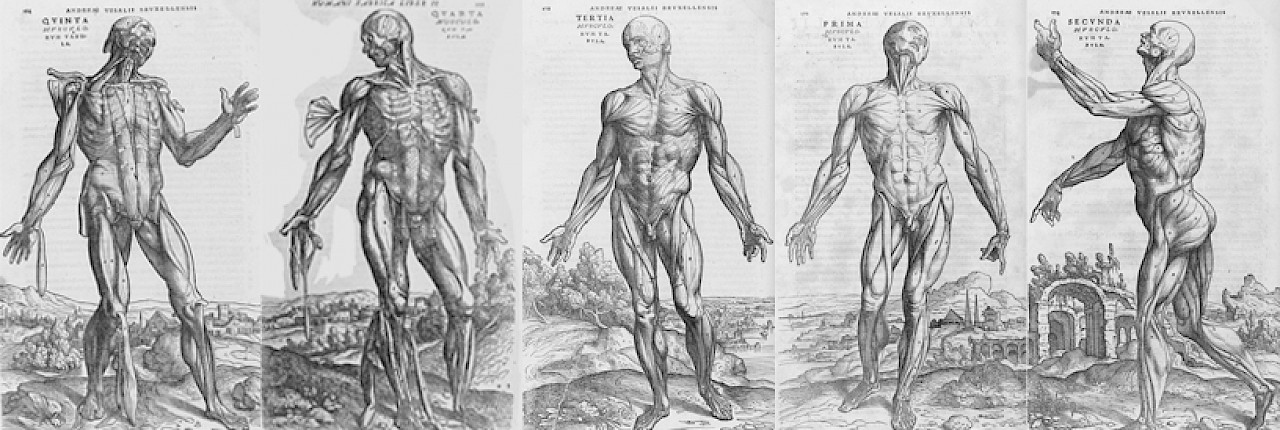 Representación del espacio y el cuerpo: la visión como artefacto illustration